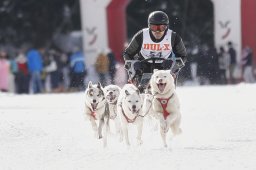 Lenzerheide 2013